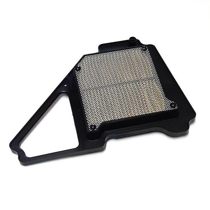 Yamaha Air Filter YBR125ED 2005 - 2014