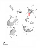 OEM Yamaha Stay 1 Nut, Spring YZF-R1 2015-2022