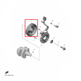 OEM Yamaha Rotor Assy YZF-R1 2015-2022