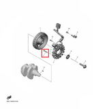 OEM Yamaha Stator Screw YZF-R1 2015-2022