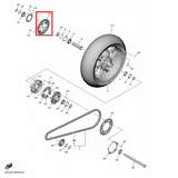 OEM Yamaha Rear Wheel Plate, Disk YZF-R1 2020-2022